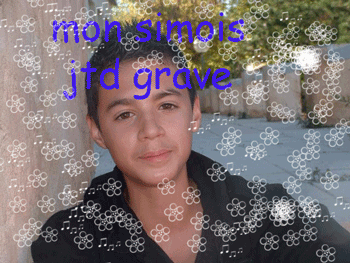 (*-_just-my-siamois_-*)